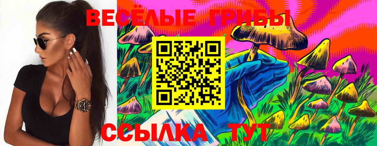 Галлюциногенные грибы Psilocybe Выкса