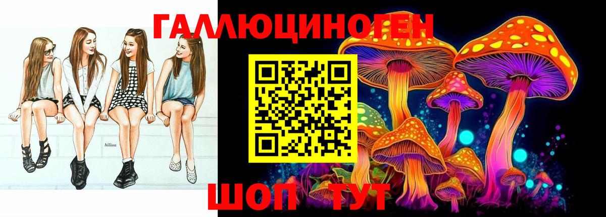 Выкса  купить наркоту  Вход с VPN  Псилоцибиновые грибы прущие грибы  Псилоцибиновые грибы GOLDEN TEACHER 