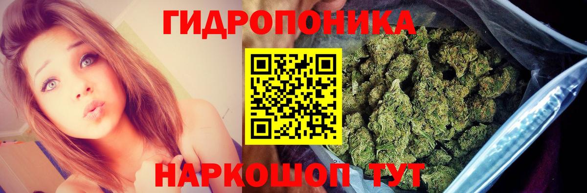 Шишки марихуана ГИДРОПОН  Бошки Шишки Bruce Banner  Вход с VPN  Выкса  Бошки марихуана OG Kush  МАРИХУАНА Bruce Banner 